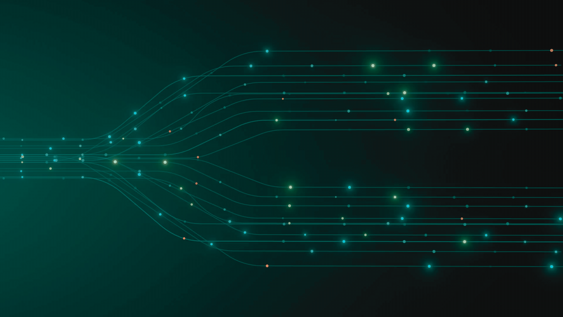 Client partnership
