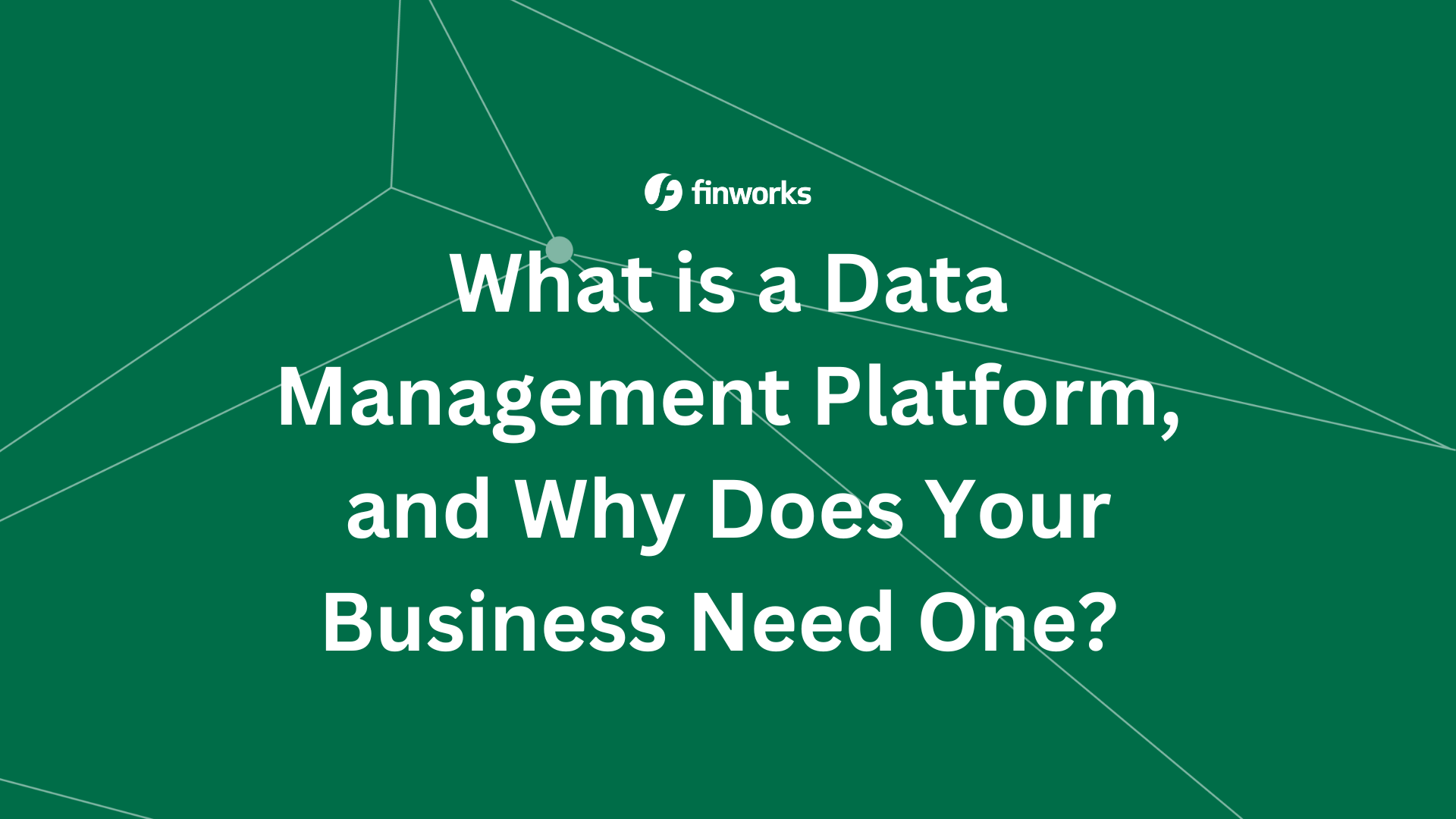 What is a Data Management Platform, and Why Does Your Business Need One? 